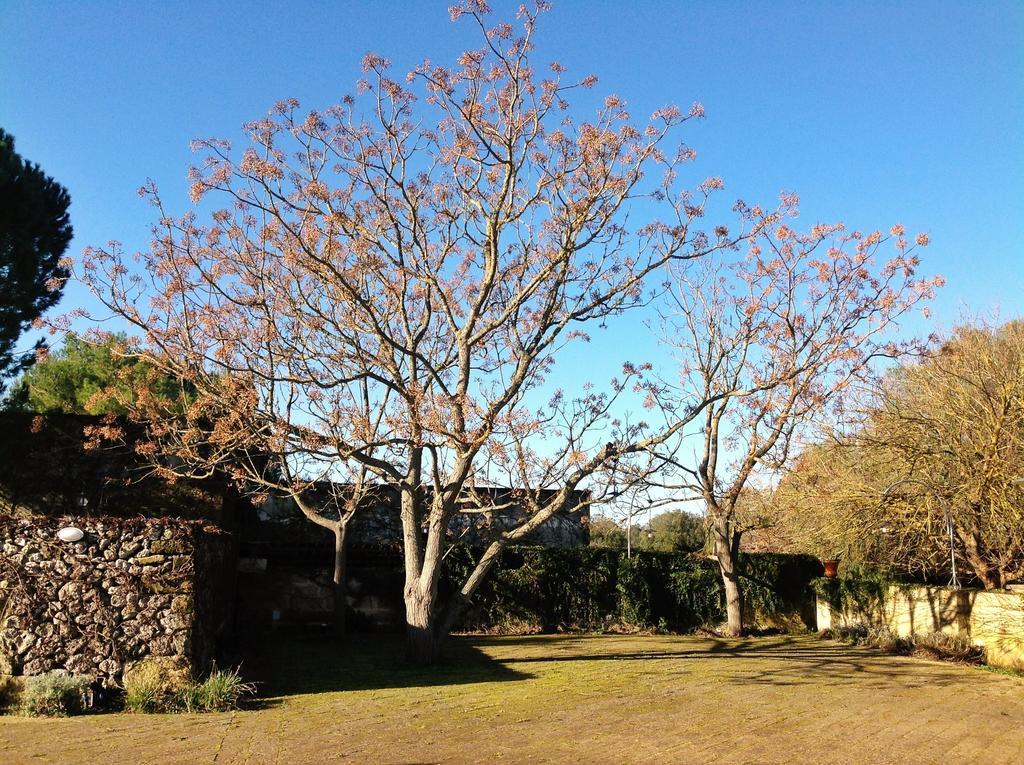 Tenuta Sant'Andrea Giuggianello エクステリア 写真