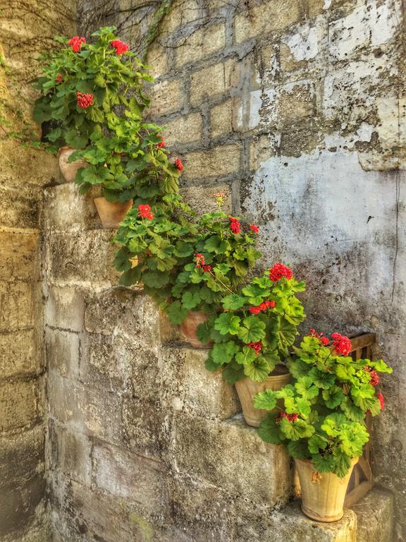 Tenuta Sant'Andrea Giuggianello エクステリア 写真