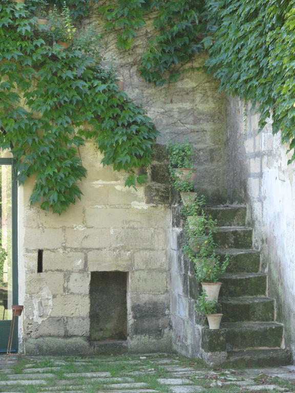 Tenuta Sant'Andrea Giuggianello エクステリア 写真